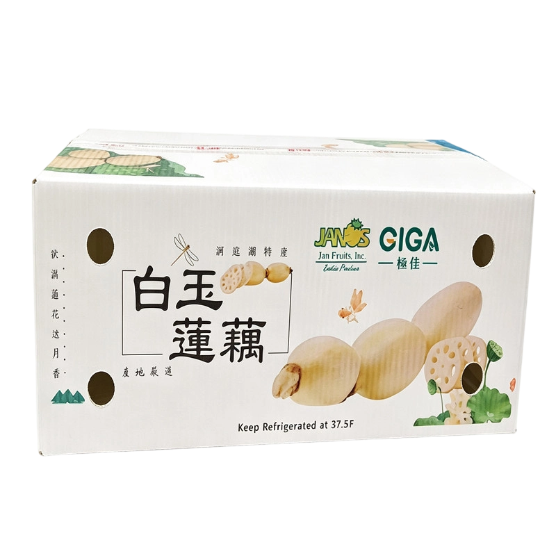 钙塑箱